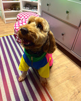 Brights Gatsby Dog Fleece By The Distinguished Dog Company