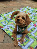 Traffic Town All-Rounder Dog Harness By Big & Little Dogs