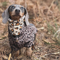 Rainstorm Brown Leopard Animal Print Dog Jacket By Urban Pup
