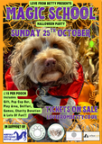 Magic School Halloween Party Sunday 25th October @ Mi Coffee & Cake Sandhurst