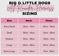 Bee-Hiving Adventure All-Rounder Dog Harness By Big & Little Dogs