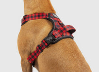 Plaid To The Bone Adventure All-Rounder Dog Harness By Big & Little Dogs