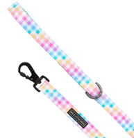 Gingham-Rainbow Dog Lead By Big & Little Dogs