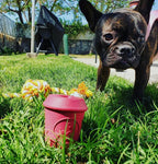 Coffee Cup Pink Treat Dispenser Chew Toy By SodaPup