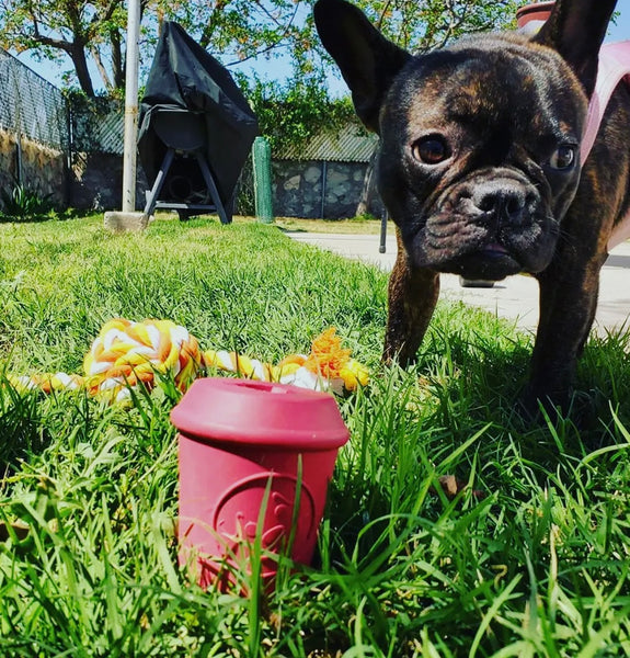 Coffee Cup Pink Treat Dispenser Chew Toy By SodaPup