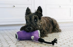 Howlin Hairdryer Splish Splash Dog Toy By P.L.A.Y