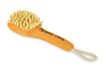 Bark & Bristles Brush Splish Splash Dog Toy By P.L.A.Y