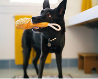Bark & Bristles Brush Splish Splash Dog Toy By P.L.A.Y