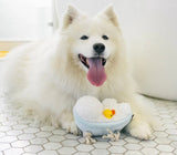 Rub-A-Dub-Tub Splish Splash Dog Toy By P.L.A.Y