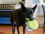 Pup- arita Barktender Dog Toy By P.L.A.Y