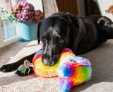 Happy Birthday Piñata Dog Toy By Ancol
