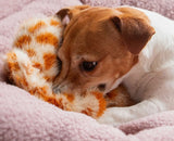 Floppet Silent Giraffe Dog Toy By Ancol