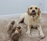 Cuddle Kangaroo Dog Toy By Ancol