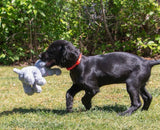 Small Bite Elephant Dog Toy By Ancol