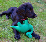 Small Bite Dino Dog Toy By Ancol