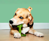 Dental Lamb & Mint Chew Toy By Bamboodles