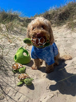 Turtles Reef Hide & Seek Toy By Snug Arooz