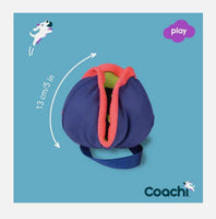 Chase & Treat Ball By Coachi