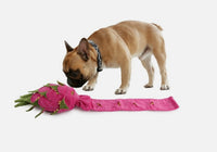 Dig It Dragon Fruit Puzzle Toy By All For Paws