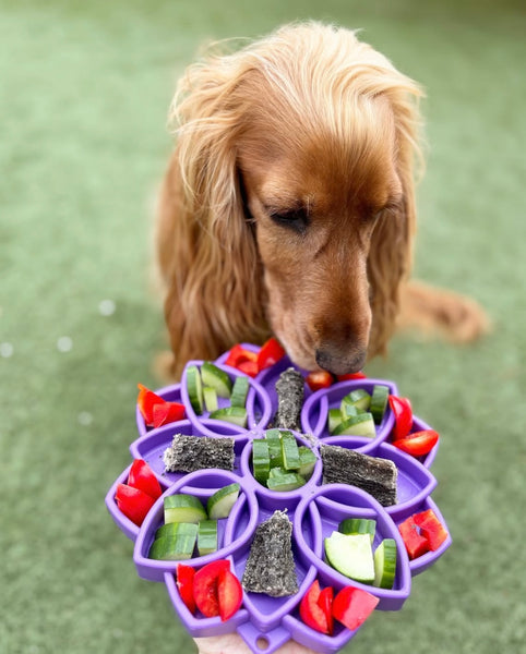 Purple Mandala Design eTray Enrichment Tray for Dogs By Soda Pup