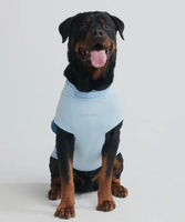 PRE ORDER Ice Blue Sunblock Dog T-Shirt By Spark Paws
