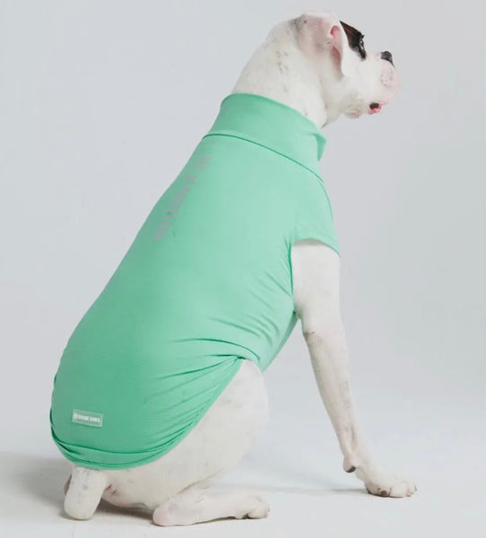 PRE ORDER Mint Green Sunblock Dog T-Shirt By Spark Paws