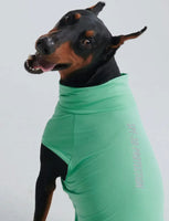 PRE ORDER Mint Green Sunblock Dog T-Shirt By Spark Paws