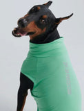PRE ORDER Mint Green Sunblock Dog T-Shirt By Spark Paws
