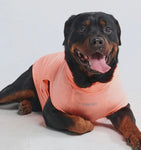 Coral Sunblock Dog T-Shirt By Spark Paws
