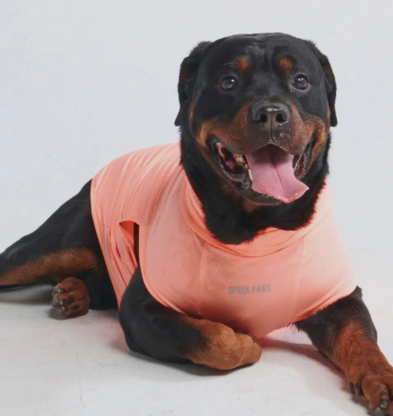 Coral Sunblock Dog T-Shirt By Spark Paws