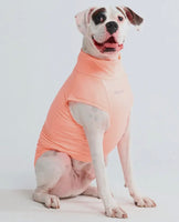 Coral Sunblock Dog T-Shirt By Spark Paws