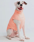 Coral Sunblock Dog T-Shirt By Spark Paws