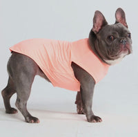Coral Sunblock Dog T-Shirt By Spark Paws