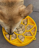 Sunflower Design Shallow eTray Enrichment Tray Slow Feeder for Dogs By Soda Pup