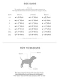 PRE ORDER Mint Green Sunblock Dog T-Shirt By Spark Paws