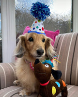 Happy Birthday Party Animal Dog Toy By House Of Paws