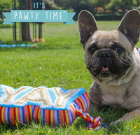 YAY Tugger Dog Toy By Ancol