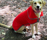 Microfibre Red Dog Drying Coat By Henry Wag