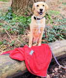 Red Microfibre Drying Towel By Henry Wag