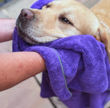 Purple Microfibre Drying Towel By Henry Wag