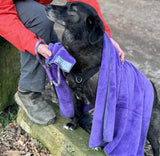 Purple Microfibre Drying Towel By Henry Wag