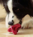 Red Geometrics Enrichment Ball By Pet Dream House