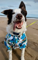 S, M Blue Hibiscus Hawaiian Dog Shirt By Midlee