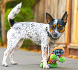 90’s Classic Skateboard Dog Toy By P.L.A.Y
