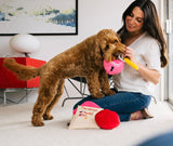 Love Bug Love Letter Dog Toy By P.L.A.Y