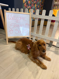 Sat 26th Sept 10am - Love From Betty Socials Spaniel Society @ Mi Coffee & Cake Sandhurst