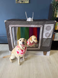 8th Nov Love From Betty Socials Retriever Gang @ Mi Coffee & Cake Sandhurst