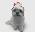 Watermelon Bucket Hat By Dogo Pet