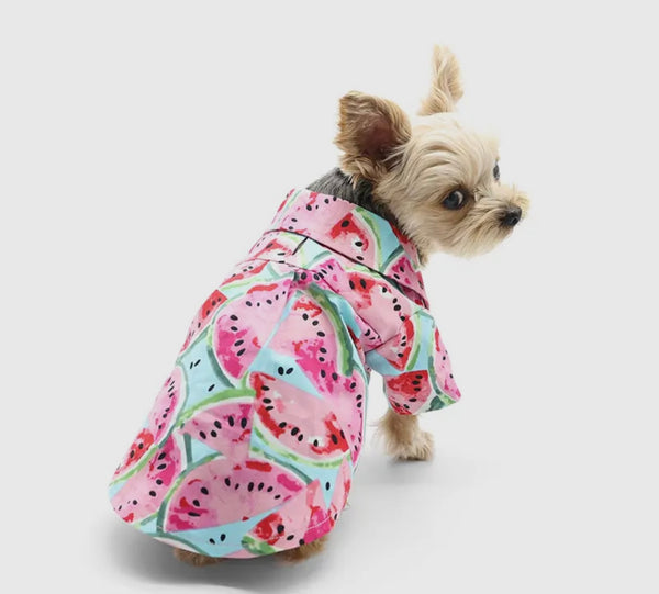 Watermelon Shirt By Dogo Pet
