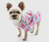 Watermelon Shirt By Dogo Pet